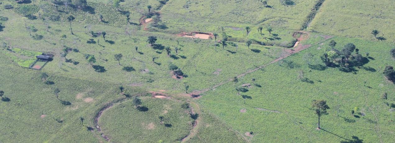 Aquiry: la civilización antigua amazónica y su inesperado descubrimiento