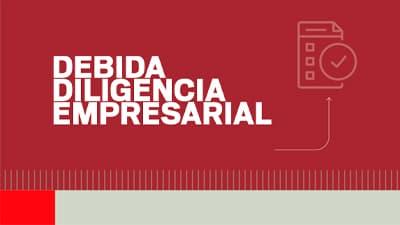 Debida diligencia empresarial