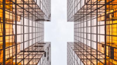 Tácticas de supervivencia en la transmodernidad